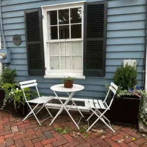 elegant neutral summer patio outdoor seating plants natural light