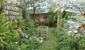 backyard garden budget outdoor