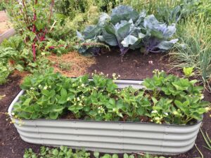 raised garden bed diy backyard