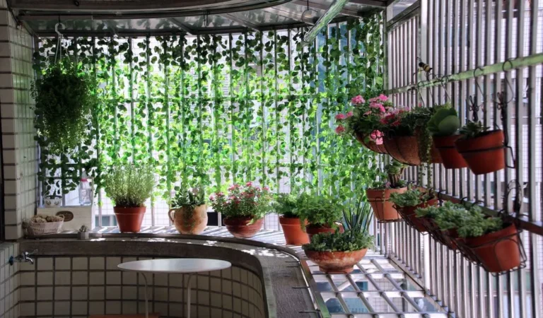 How to Keep a Small Balcony Cool and Shaded in Peak Summer Heat