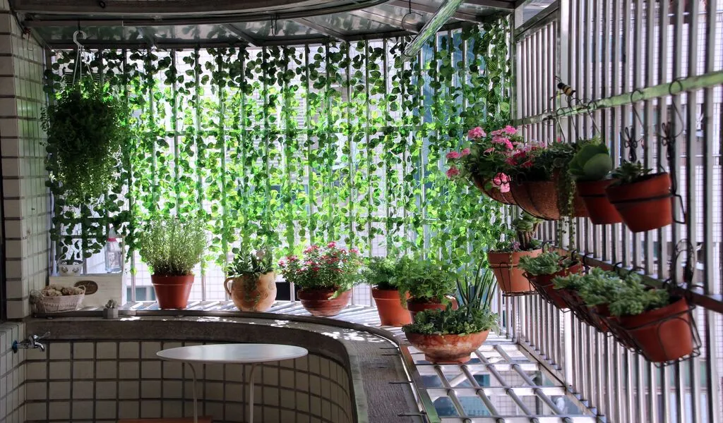 How to Keep a Small Balcony Cool and Shaded in Peak Summer Heat