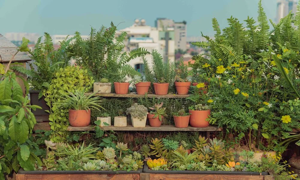 Rental Garden Ideas That Feel Beautiful Without Permanent Changes