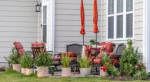 renter-friendly backyard with container plants