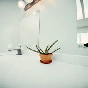 small bright bathroom natural light mirror