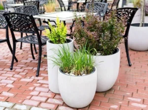 three large planters arranged on rental patio
