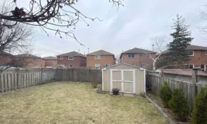 backyard privacy hedge fence patio