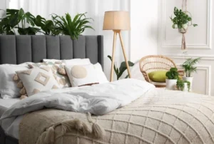 bedroom embracing an asymmetrical layout with a floor lamp and plant