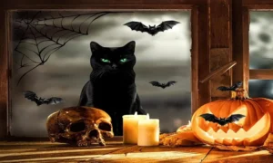 halloween window silhouette black cat