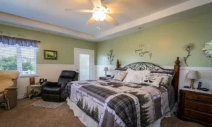 sage green bedroom accent wall with white ceiling